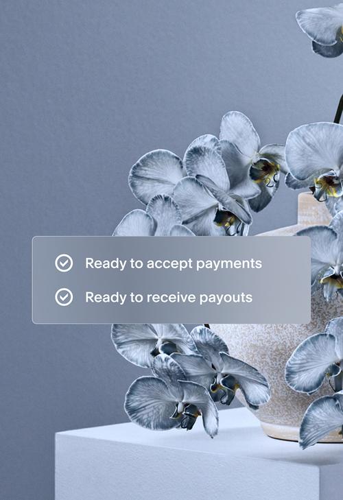 Decorative floral background. The overlay card displays two checkmarks with the text `Ready to accept payments` and `Ready to receive payouts`.