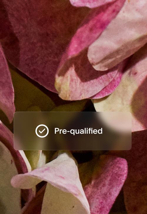 Confirmation box with checkmark and the message, "Pre-qualified."
